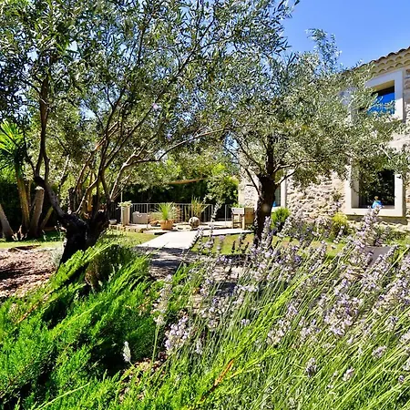 Des Brunes Bed & Breakfast Saint-Laurent-dʼAigouze